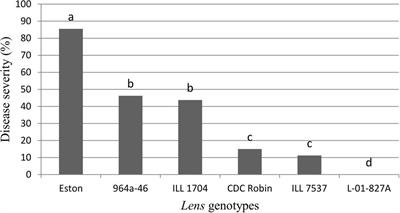 Genotype-Dependent Interaction of Lentil Lines with Ascochyta lentis